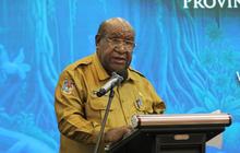 Pemprov Ingatkan Pentingnya Jaga Kawasan Hutan Papua Pegunungan, Penyangga Iklim Global