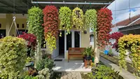 5 Tanaman Teras Rumah Estetik Low Budget, Cantik dan Mudah Dirawat