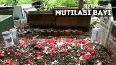 Mutmainah menaruh potongan tubuh bayinya di piring saat ditemukan oleh sang suami, Aipda Denny Siregar. Saat ditanya di Rumah Sakit Kramat Jati, ibu muda yang biasa disapa Iin ini menyebutkan keterangan yang berbeda-beda.
