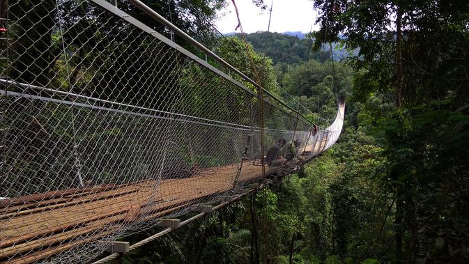 Jembatan gantung dibangun di area Taman Nasional Gunung Gede Pangrango (TNGGP) Resort Situgunung, tepatnya di Kecamatan Kadudampit, Kabupaten Sukabumi, Jawa Barat. (Liputan6.com/Mulvi Mohammad)