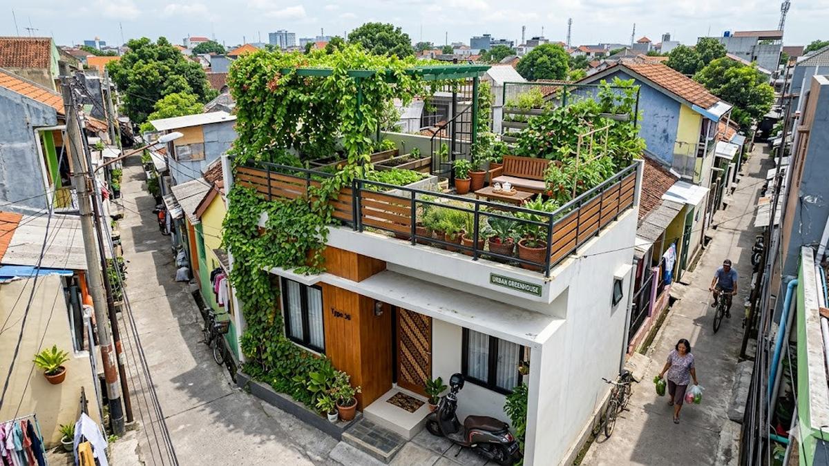 5 Contoh Rumah Tipe 36 Ada Rooftop di Gang Sempit, Hunian Modern dan ...