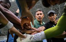 Persela Lamongan Bertekad Tutup Musim dengan Kemenangan Gemilang