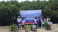 Hari Mangrove Sedunia, 2.500 Bibit Ditanam di Pulau Pramuka