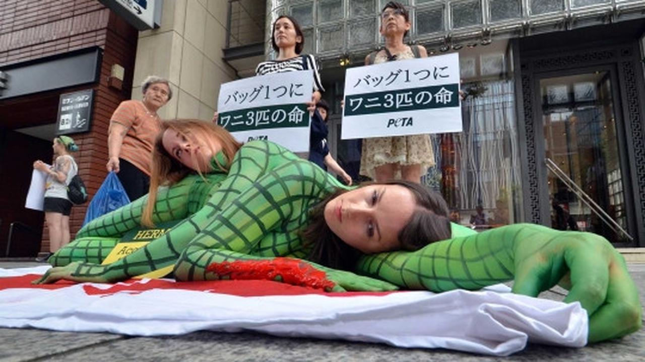 Aksi demo aktivis cantik "berkulit buaya" di Jepang