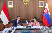 Indonesia dan Slovakia Jajaki Kerja Sama Nuklir dan Teknologi untuk Perkuat Ketahanan Energi Nasional