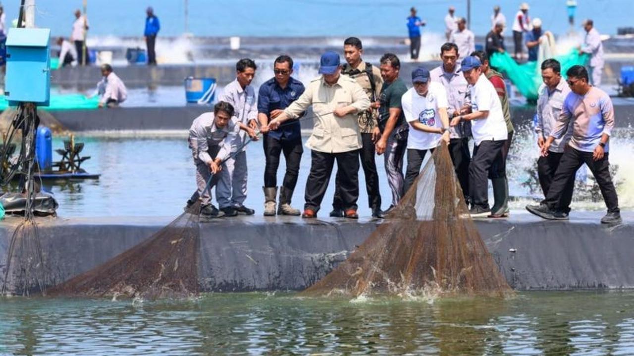 Prospek Budidaya Udang Kebumen: Dorong Ekonomi dan Ketahanan Pangan Nasional