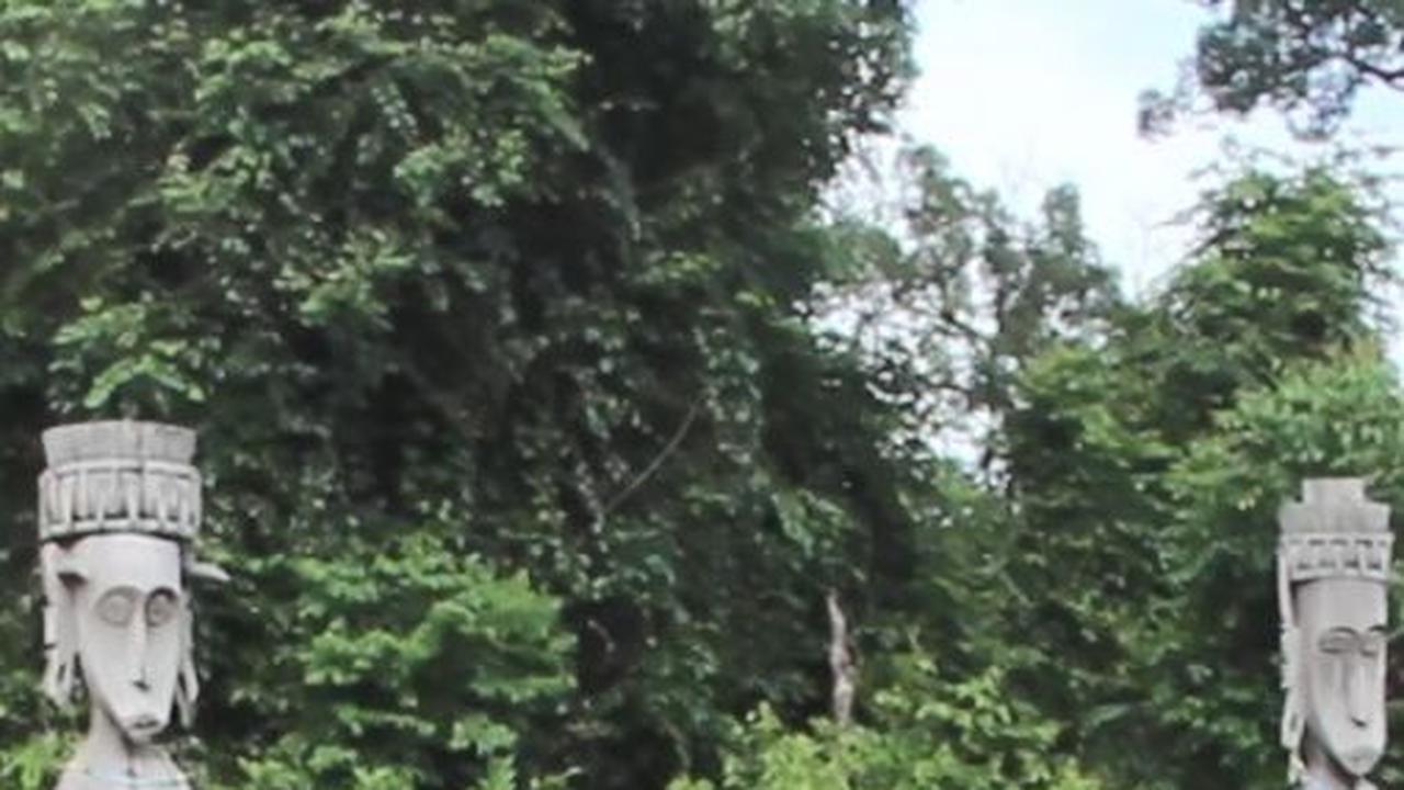 Hutan Lindung Wehea yang Dijaga dengan Pendekatan Hukum Adat