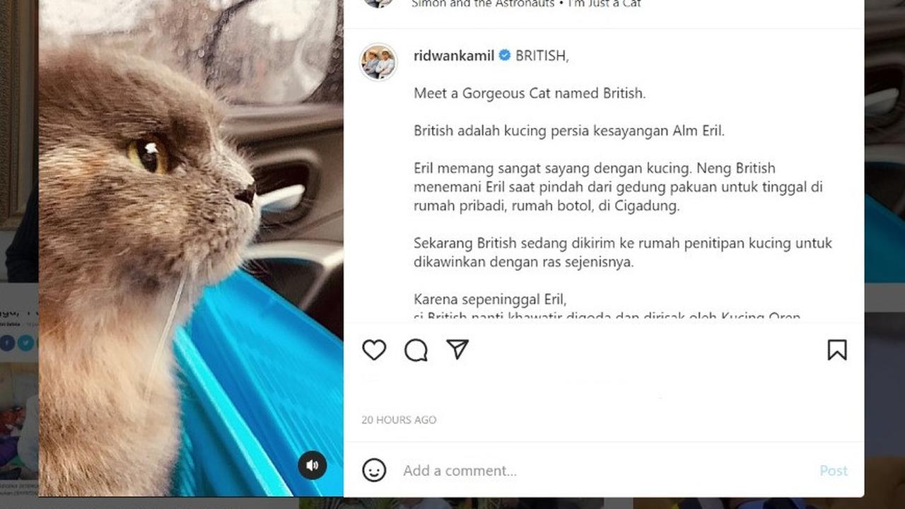 Eril Anak Ridwan Kamil Punya Kucing Kesayangan Dipanggil Neng Euis