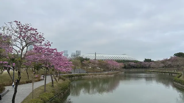 Shenzhen, Kota Seribu Taman