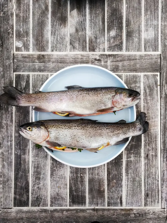 ikan berformalin