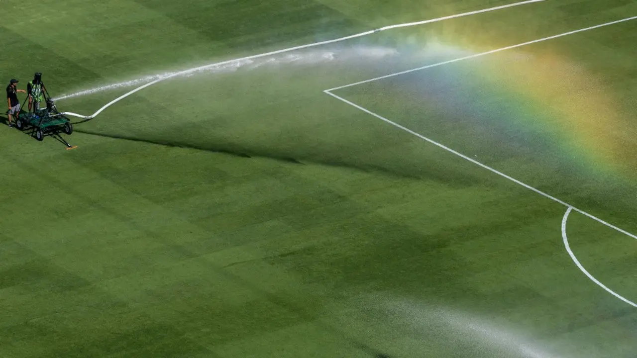 Ilustrasi rumput lapangan