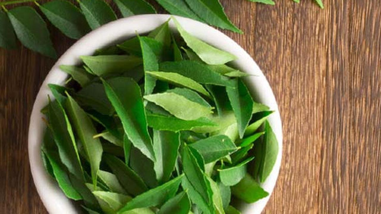 Bagaimana Menjaga Aroma Daun Jeruk dan Salam Agar Tidak Hilang? Ini Tipsnya