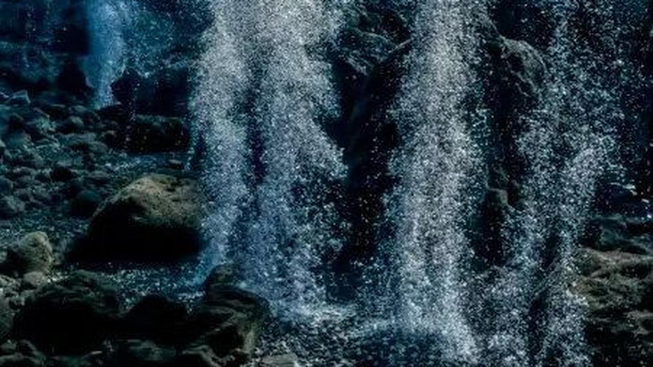 Ilmuwan Temukan Gunung Api Kuno Masih Aktif di Bawah Laut, Dipenuhi Telur Raksasa