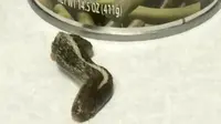 Kepala ular dalam buncis kalengan (KSL)