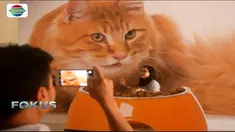 Pas banget nih, libur tahun baru saatnya "ngeksis" di spot foto bernuansa tiga dimensi. Tapi di mana, ya?