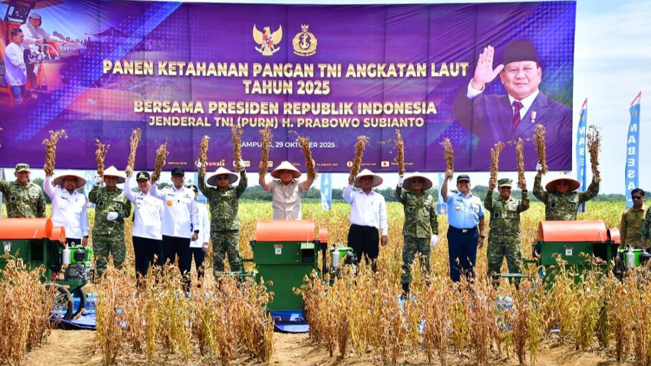 TNI AL Panen Kedelai Varietas Unggulan di Lampung, Wujud Nyata Komitmen Perkuat Ketahanan Pangan Nasional