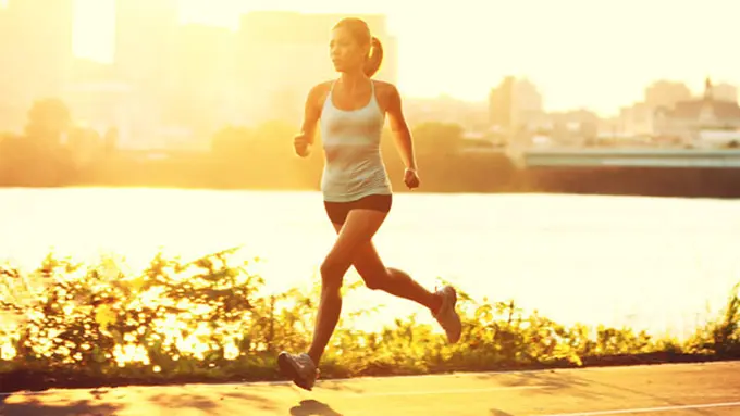 Copyright by shutterstock.com