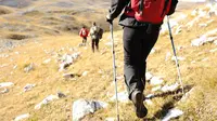 Pilihan Tongkat Hiking Terbaik agar Pendakian Lebih Nyaman dan Minim Kelelahan