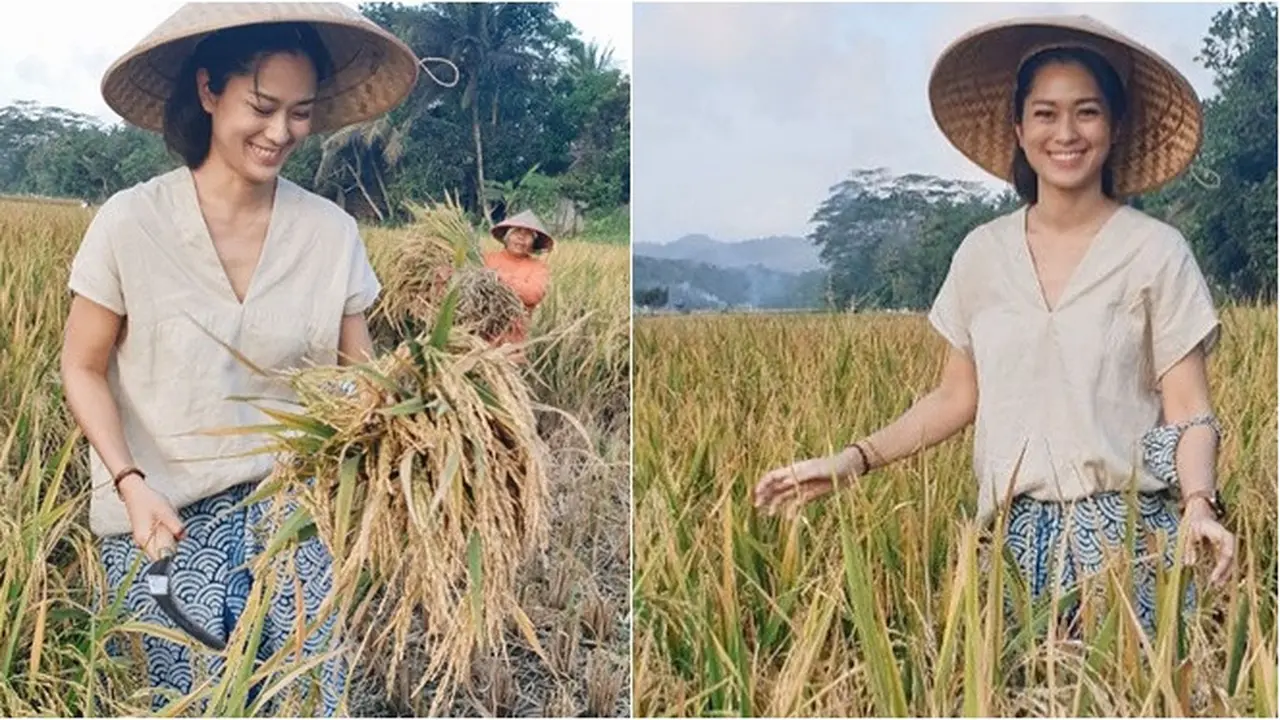 6 Potret Prisia Nasution Panen Padi di Sawah, Tetap Tampil Menawan