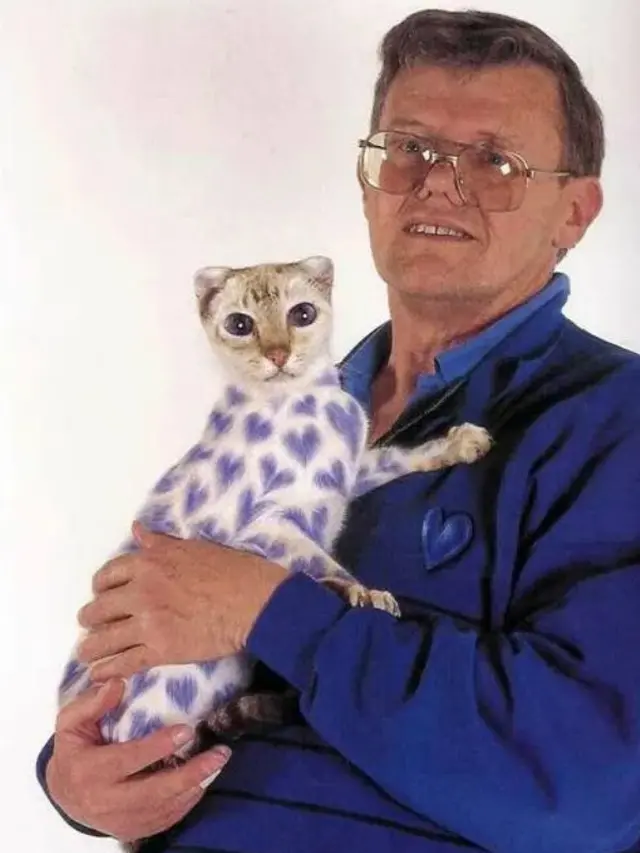 Why Paint Cats