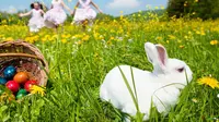Mungkin ini juga yang kamu pertanyakan, kenapa kelinci dan telur erat kaitannya dengan perayaan Paskah? Temukan jawabannya di sini. 