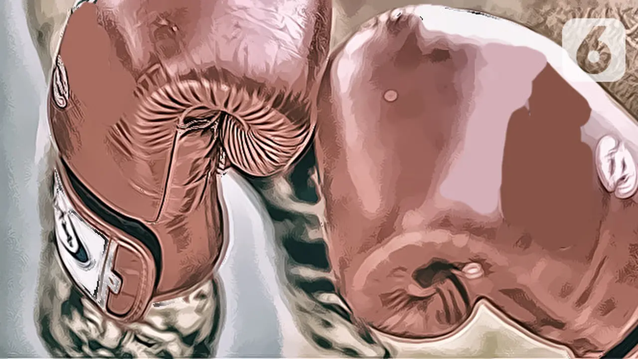 ilustrasi tinju