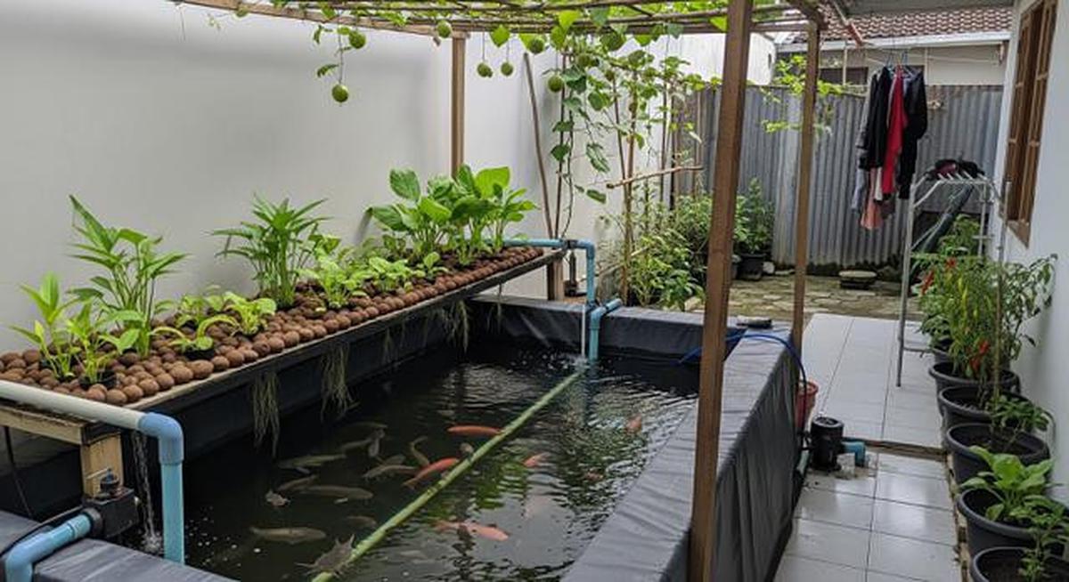 9 Ide Ternak Mini Paling Produktif untuk Skala Rumah, Bisa Jadi Sumber Pendapatan Tambahan