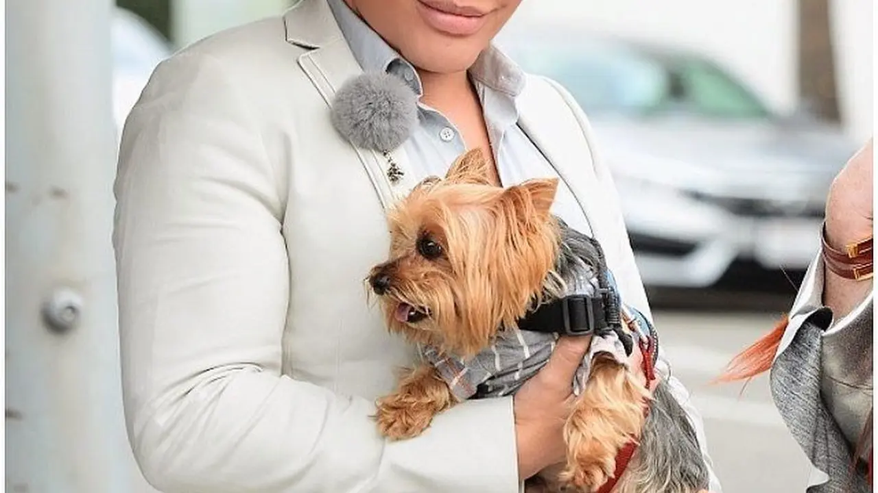 Rodrigo Alves, Manusia Boneka Ken