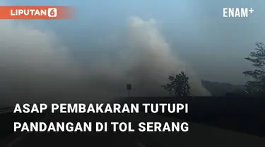 Beredar video viral terkait munculnya asap tebal hasil pembakaran lahan. Kejadian tersebut berada di jalan tol Serang - Rangkasbitung KM 80, Rabu (20/12/2023)