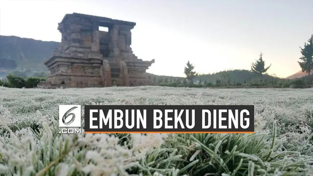 VIDEO: Perbedaan Embun Beku Dieng dan Salju Eropa