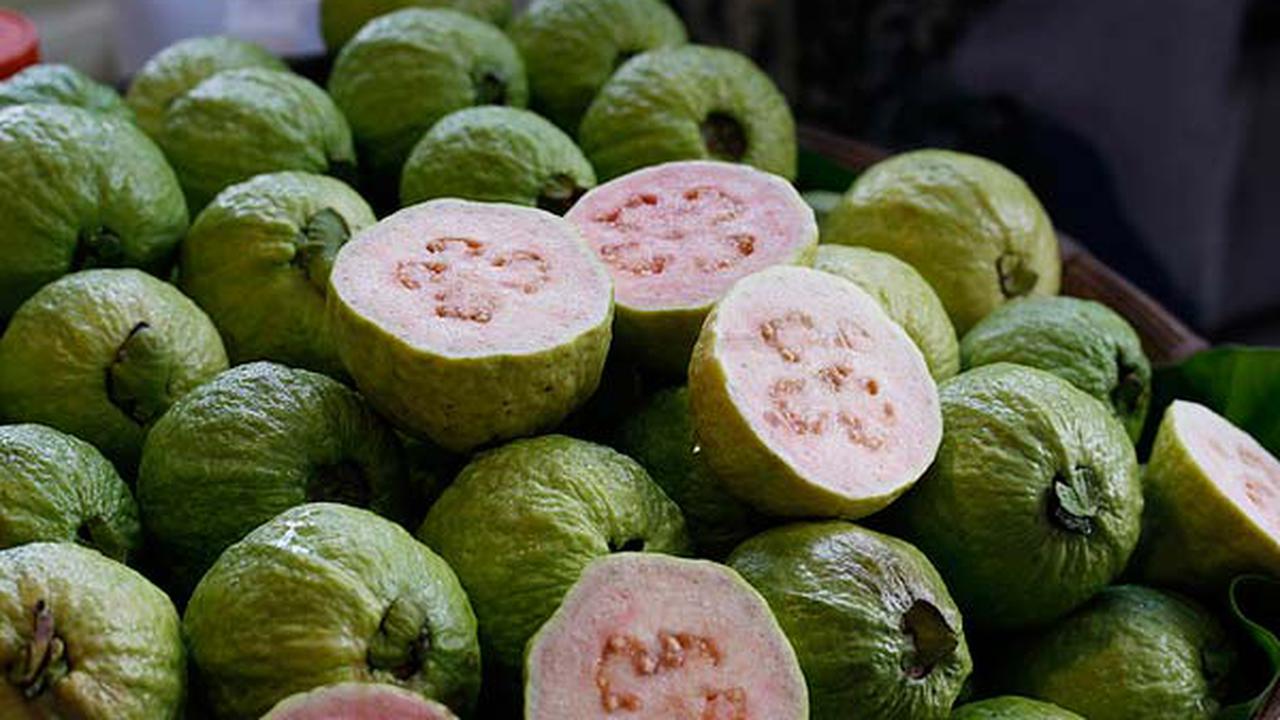 Jus Jambu Merah Ampuh Bagi Penderita DBD?