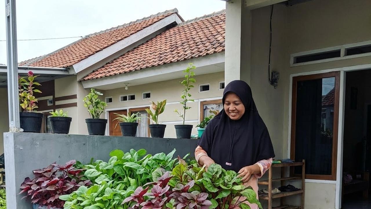 7 Cara Membuat Hidroponik Bayam Panen 25 Hari, Sebuah Panduan untuk Pemula di Rumah