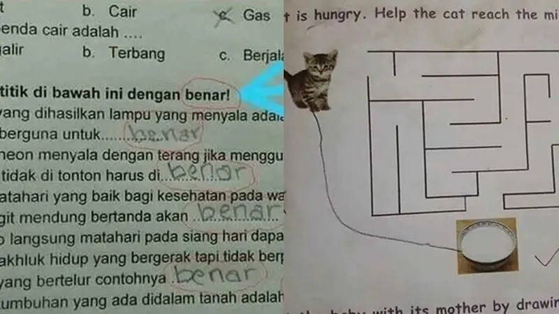 7 Jawaban Siswa Kerjakan Soal Ini Cerdas Banget, Tak Terpikirkan