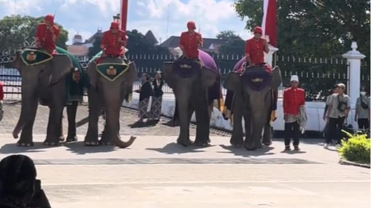 ilustrasi iringan gajah