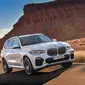 all new bmw x5 (ist)