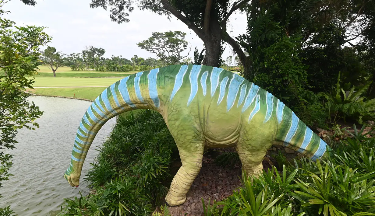 Replika dinosaurus seukuran aslinya, Brachiosaurus ditampilkan di sepanjang "Changi Jurassic Mile" sebuah jalan santai di Singapura (13/10/2020). Jalur sejauh 3,5 km itu biasa dilewati warga untuk bersepeda dan jalan. (AFP/Roslan Rahman)