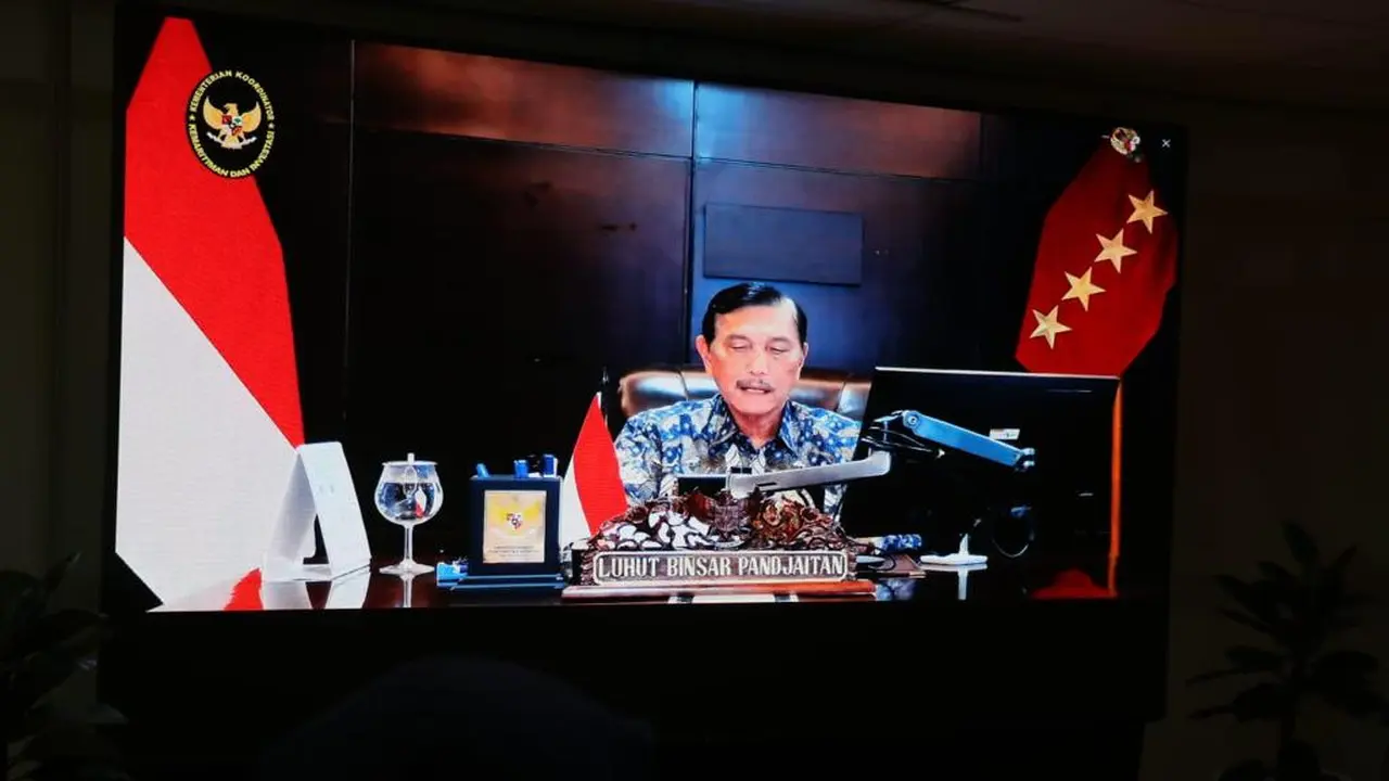 Menko Marves Luhut Binsar Pandjaitan. (Liputan6.com/ ist)