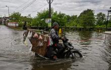 FOTO: Kondisi Banjir Parah Rendam Ratusan Rumah di Mojokerto, 2 Sekolah Terpaksa Diliburkan