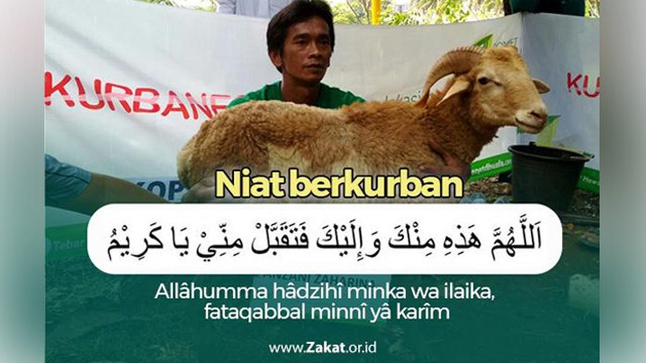 Apa Itu Kurban? 6 Fakta yang Jarang Umat Islam Ketahui  