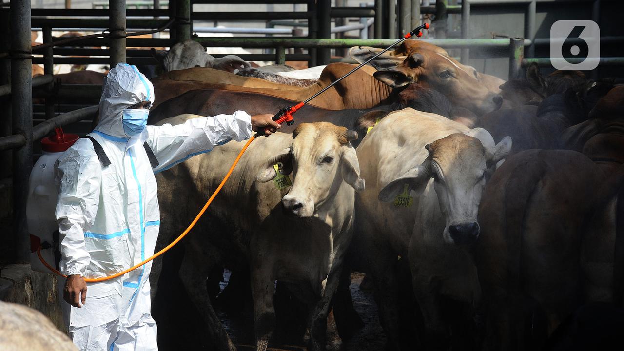 FOTO: Mencegah Penyebaran Penyakit Hewan di Depok