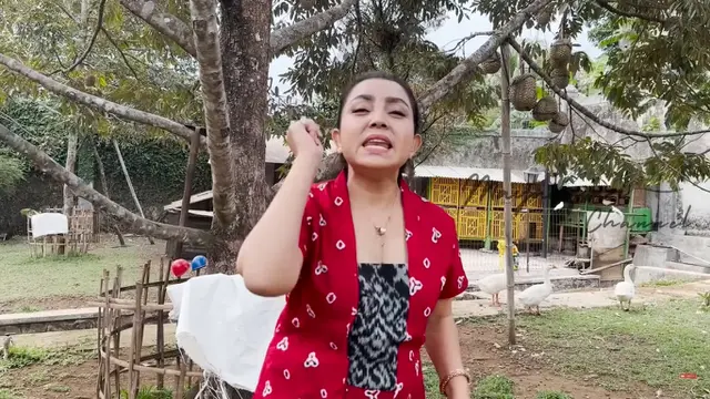 Potret Taman Rumah Mayangsari di Purwokerto/Youtube Mayangsari Channel