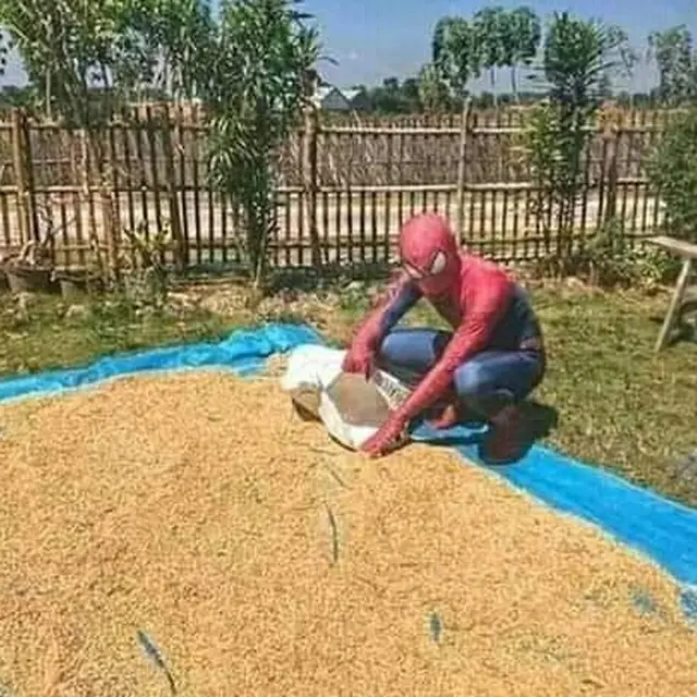 7 Potret Absurd Orang Pakai Kostum Spider-Man Ini Bikin Orang Heran