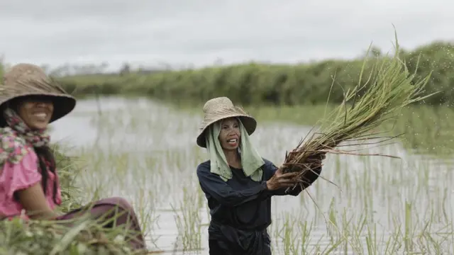 Petani Riau Bisa Semakin Produktif Dengan Tambahan Kuota Pupuk Bersubsidi