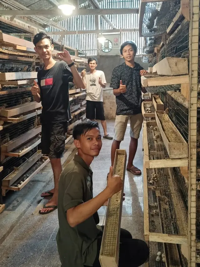 Pemagangan dan Pelatihan Petani Milenial