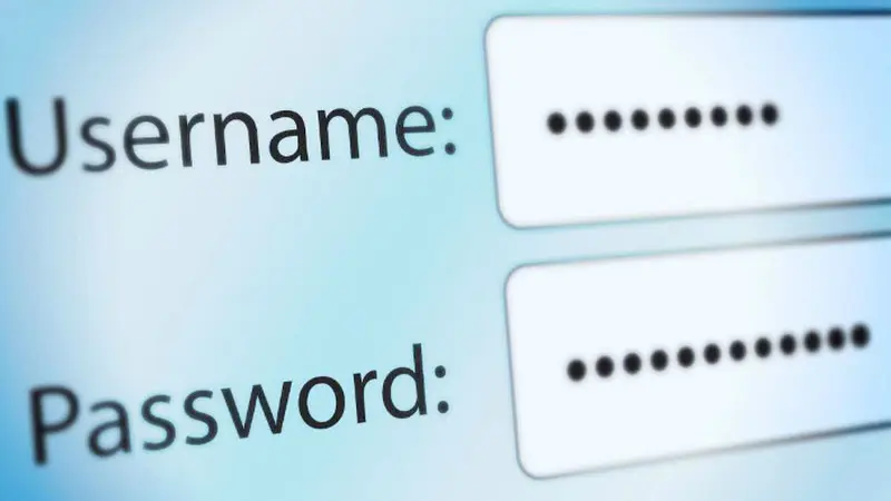 Ilustrasi password