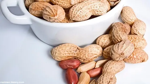 kacang-kacangan130108c.jpg