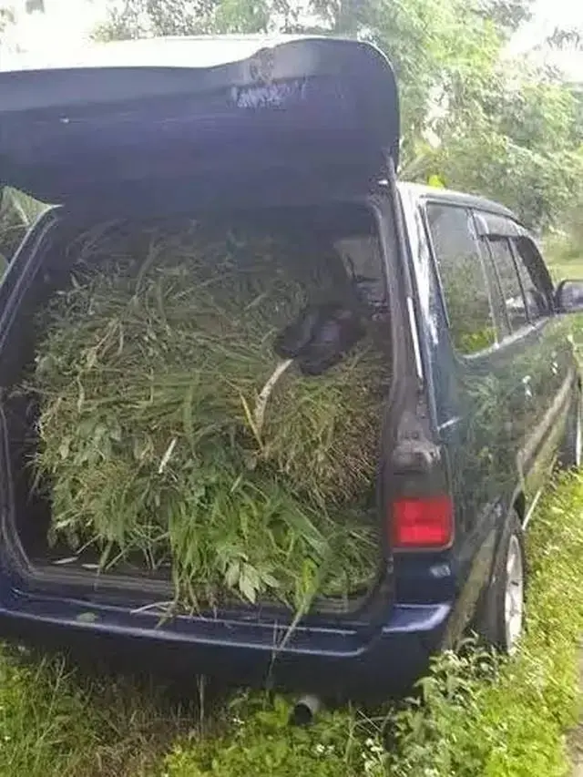 10 Potret Nyeleneh Isi Bagasi Mobil Ini Bikin Geleng Kepala