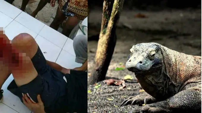 Photo: Copyright coconuts.co