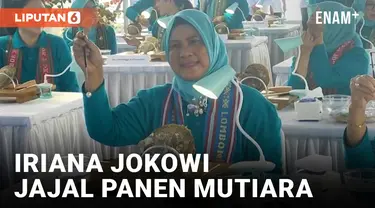 Iriana Jokowi Panen Mutiara dan Lepas Tukik di Lombok