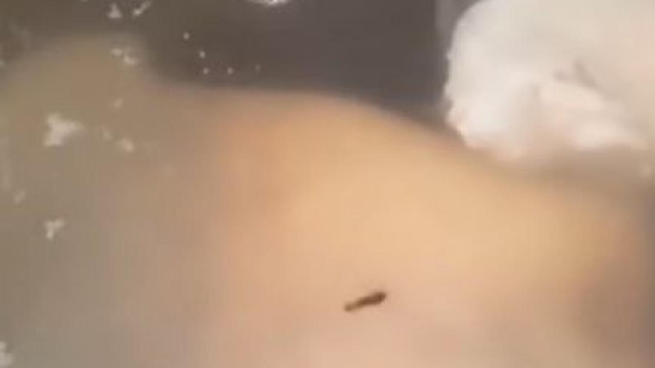 Rebus dengan Air Mendidih